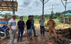 Pencurian Kelapa Sawit Marak, Ini Kata Kades Air Upas