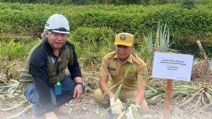 Kegiatan Penanaman Bersama Dalam Rangka Hari Bumi