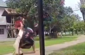 Fakta Yang Terjadi Viral nya Video Kekerasan Fisik Di Salah Satu Pondok Pesantren