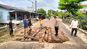 Bersama Forkopimcam, Kapolsek Matan Hilir Selatan Turun Langsung Perbaiki Jembatan