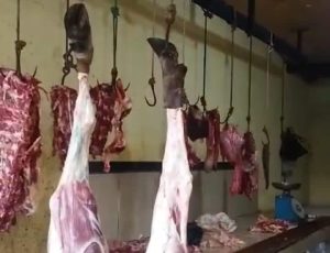 Penjualan Daging Sapi Lokal Di Ketapang Anjlok Total Akibat Masuknya Daging Beku Impor